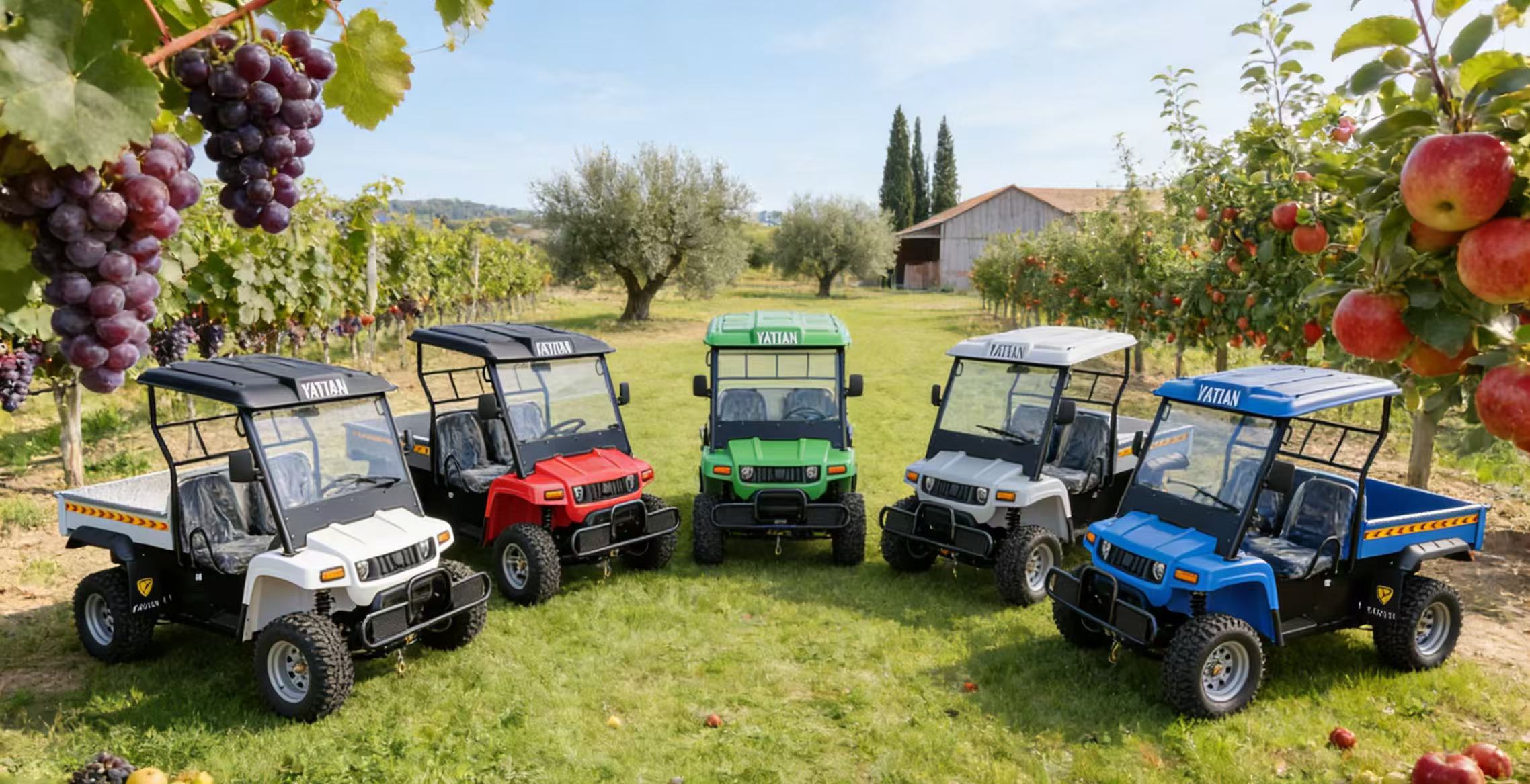 фото_20251205134837