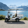YATIAN GQ02Z 2-местный электроохотничий автомобиль 4×4 с грузовым отсеком – готов к бездорожью 