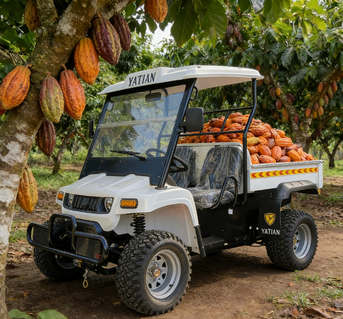 Электрический лесной логистический грузовик Electric Utility Cart-9 