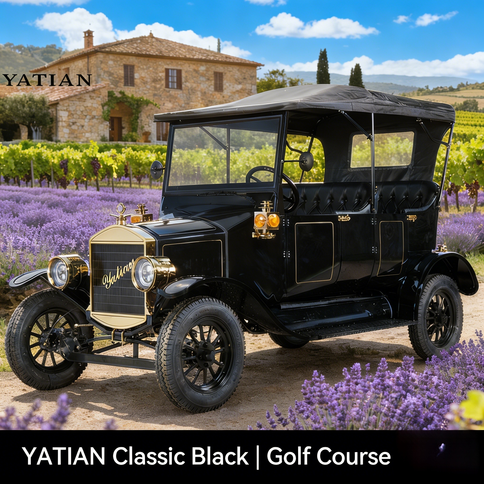 Классическая тележка для гольфа (4)