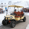 YATIAN GQ04Z 4×4 Электрический охотничий автомобиль, 4-местный, с грузовым отсеком и блокировкой дифференциала