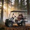 Yatian Electric UTV 4x4: вездеходная рабочая лошадка для охоты, сельского хозяйства и бездорожья