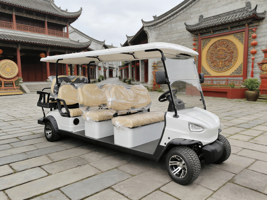 8-Seater Electric Sightseeing Golf Cart (5).png
