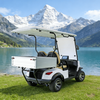 YATIAN GQ02Z 2-местный электроохотничий автомобиль 4×4 с грузовым отсеком – готов к бездорожью 