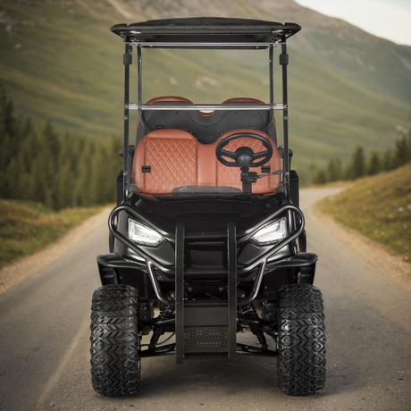 2, 4, 6, 8-местные электрические тележки для гольфа, внедорожники для гольфа, багги для продажи по хорошей цене