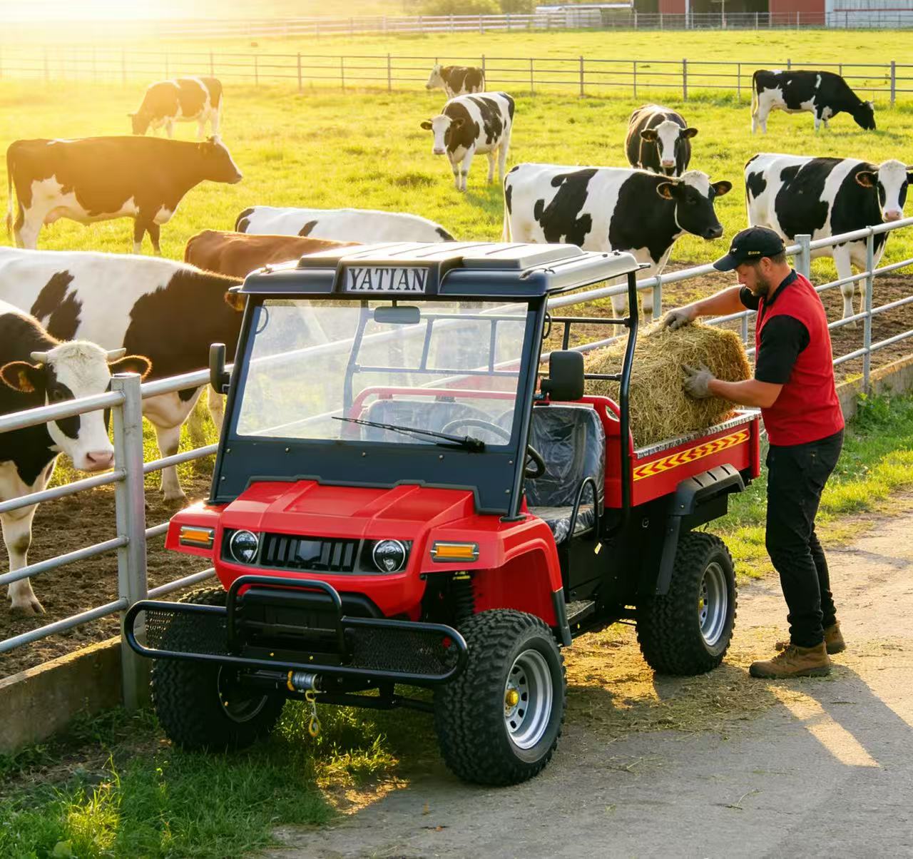 фото_20251205151247